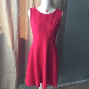 Rose sleeveless A-line dress